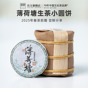 宫明茶叶 云南易武茶叶普洱茶古树春茶薄荷塘生茶小圆饼笋壳装