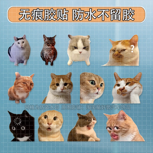 猫meme车贴猫咪表情包贴画