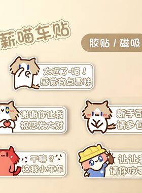月薪喵表情包猫咪磁吸车贴