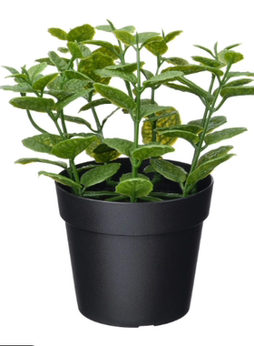 宜家菲卡人造盆栽植物