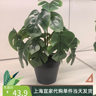 IKEA宜家菲卡 人造盆栽植物室内/户外龟背竹12 厘米仿真植物代购