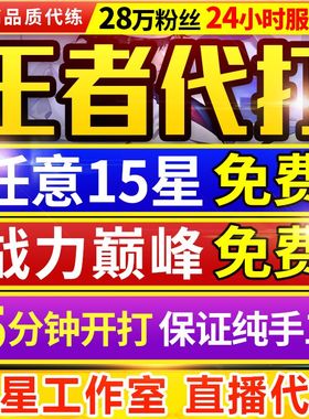 【首单免费丨实体百星工作室】王者代打王者荣耀代打代练排位上分