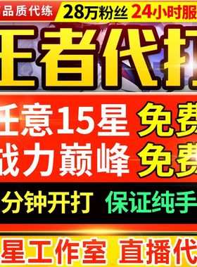 【首单免费丨实体百星工作室】王者代打王者荣耀代打代练排位上分