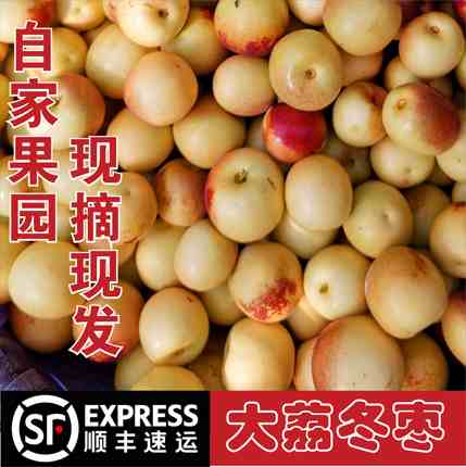 陕西特产农家自产现摘现发应季大荔冬枣新鲜水果脆甜5斤顺丰包邮
