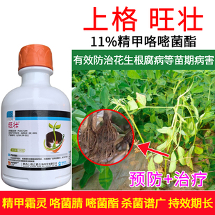 正品上格旺壮精甲咯嘧菌酯种衣剂根腐病专用农用老牌子杀菌剂
