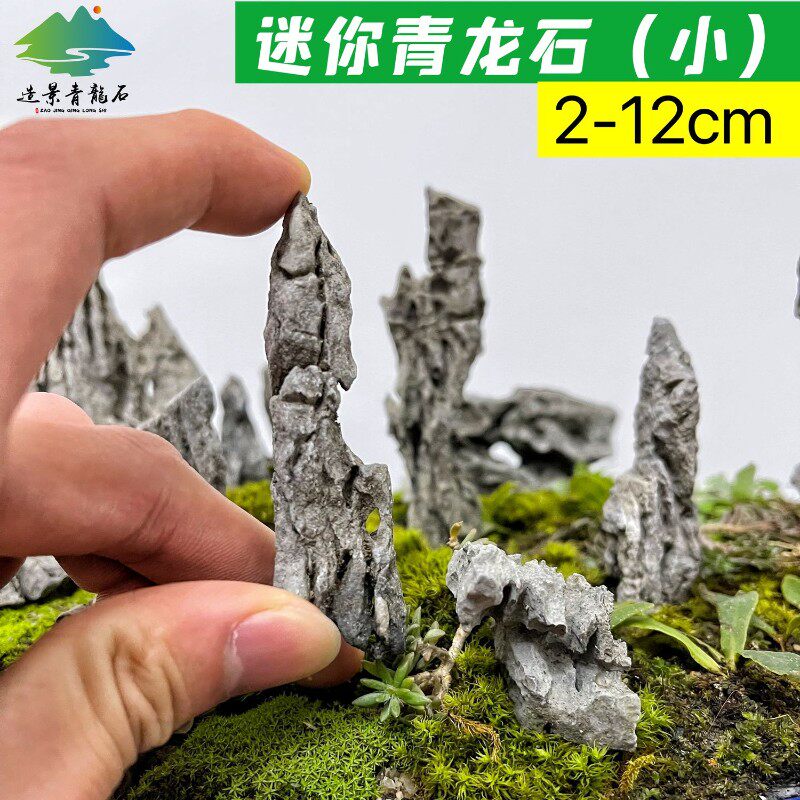 青龙石小块酸洗精选微观草缸装饰造景石苔藓缸迷你型摆件假山石头图片