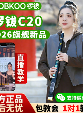 锣钹C20电吹管官方旗舰店新款中老年乐器电萨克斯葫芦丝唢呐笛子