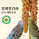 鹦鹉有机黄谷穗麦穗学吃天然小米黄谷子虎皮玄凤专用零食新鲜鸟粮