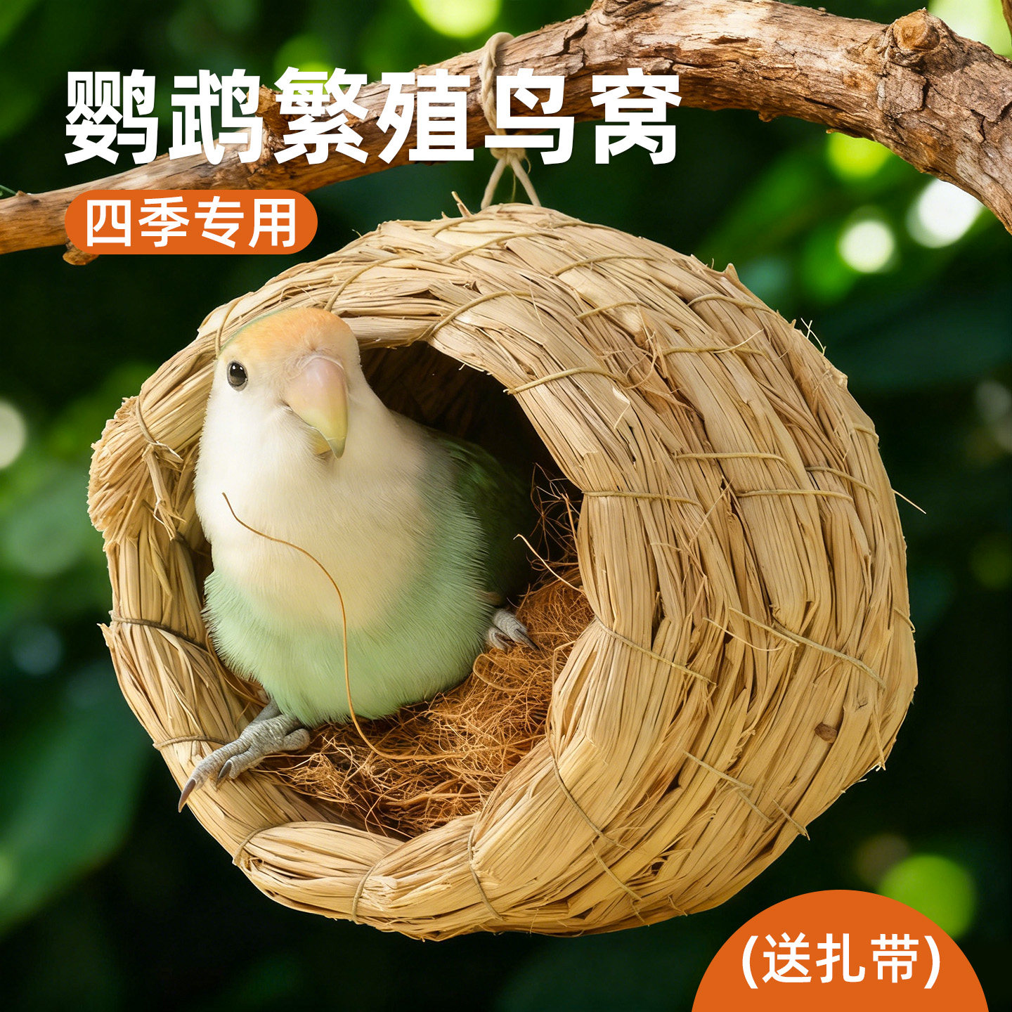 鹦鹉专用鸟睡草窝虎皮玄凤牡丹珍珠鸽子小鸟巢睡觉繁殖箱用品大全,宠物/宠物食品及用品,鸟窝,淘宝优惠券,粉丝福利购,淘宝优惠卷