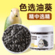 鹦鹉色选油葵瓜子训练奖励上手小零食小太阳虎皮玄凤牡丹专用饲料