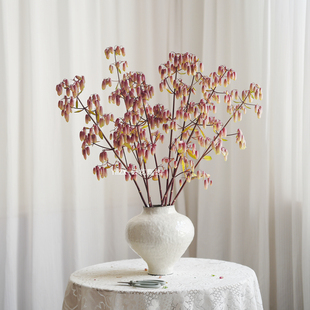 【云花甄选】进口葡萄天灯家居插花瓶水养花材真的鲜花晶莹剔透果