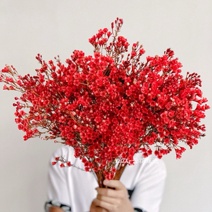【云花甄选】红色澳洲腊梅吸色鲜花云南直发家庭水养家居摆件空运