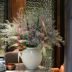 【云花甄选】情人草粉色吊鸟真鲜花家居摆件家庭水养小众稀有花材