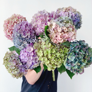 【云花甄选】油画色水墨画色绣球花期长鲜切花花瓶家庭水养空运