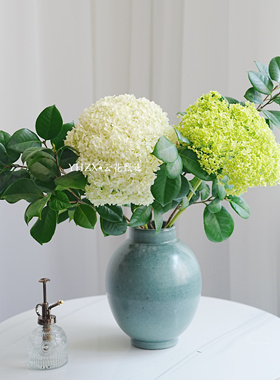 【云花甄选】安娜绣球白色绿色鲜切真花云南直发瓶插花观赏性空运