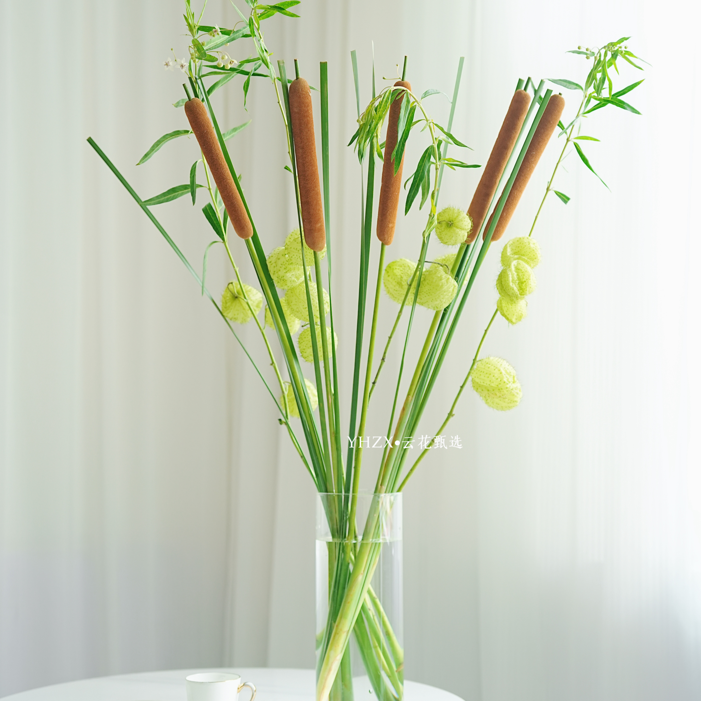 【云花甄选】蒲棒糖棉组合鲜花真花花期久绿植新鲜插花配云南直发