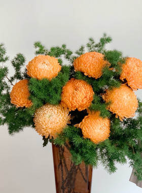 【云花甄选】进口王炸大花朵爱马仕橙牡丹菊图片实拍花球大瓶插花