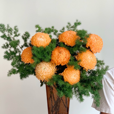 【云花甄选】进口王炸大花朵爱马仕橙牡丹菊图片实拍花球大瓶插花