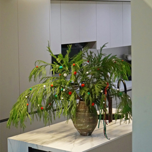 超长待机鲜切花天竺少女云南直发家庭水养送礼物空运 云花甄选