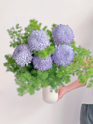 【云花甄选】进口王炸大花朵梦幻紫牡丹菊图片实拍花球很大瓶插花