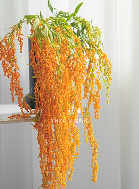【云花甄选】橙色柔丽丝花期长可做干花鲜切造型摆放家居装饰观赏