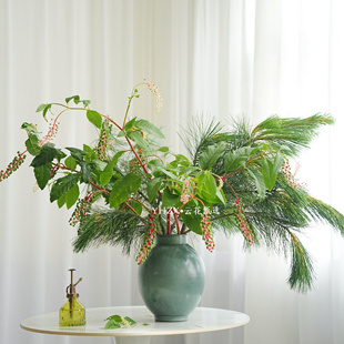 【云花甄选】商陆松柏圣诞鲜花家居插花水养云南空运直发山野绿植