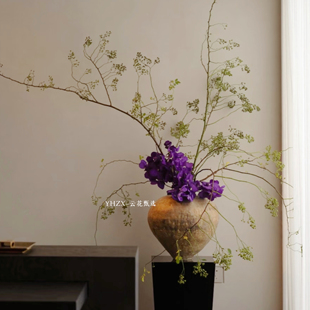 【云花甄选】绿色山归来紫色胡姬兰高级居家插花花期长真的鲜切花