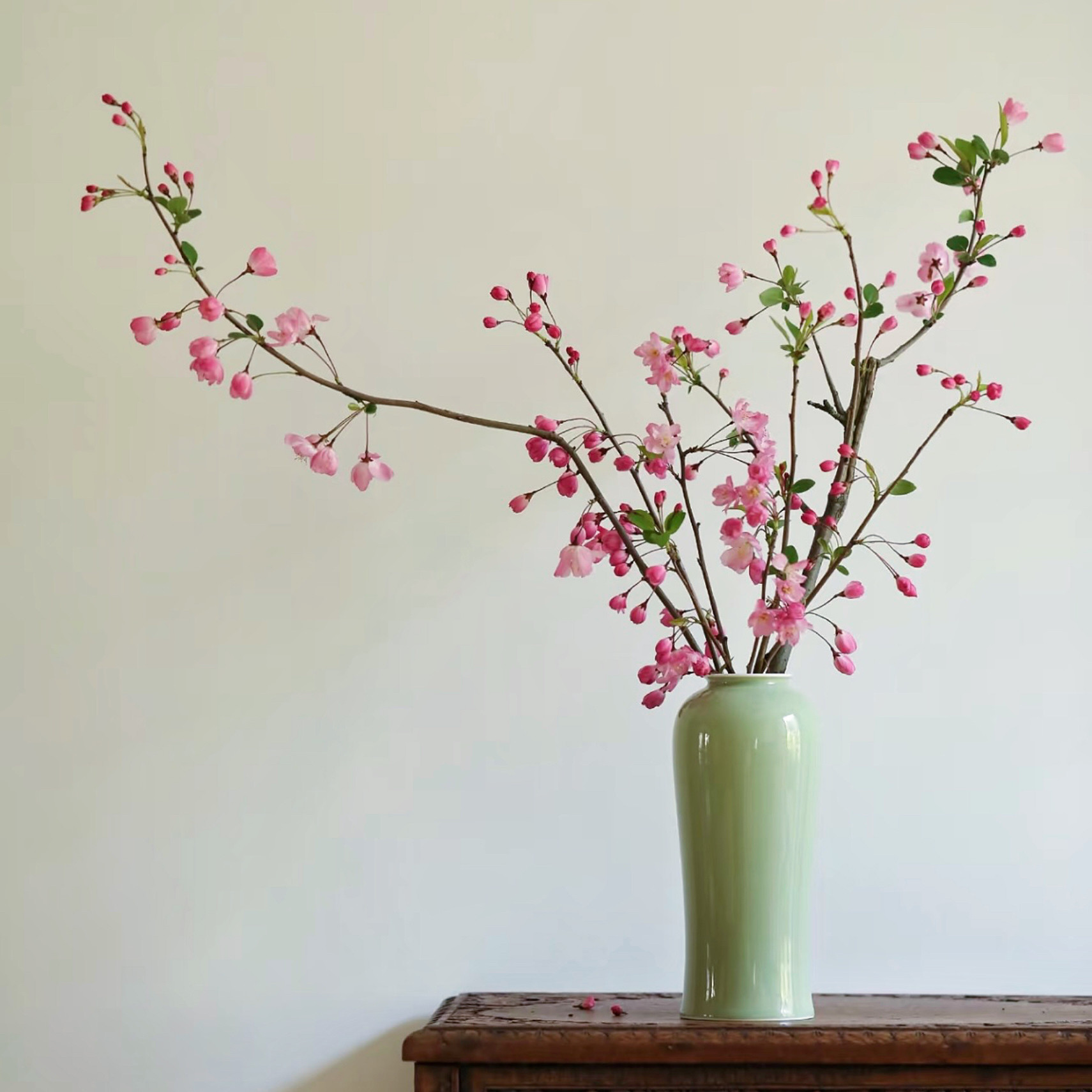 【云花甄选】垂丝海棠粉色真鲜花家居插花水养云南基地直发花苞多,鲜花速递/花卉仿真/绿植园艺,花材,淘宝优惠券,粉丝福利购,淘宝优惠卷