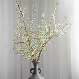 【云花甄选】枯木逢春雪柳花鲜花家居插花水养云南基地直发绿配叶