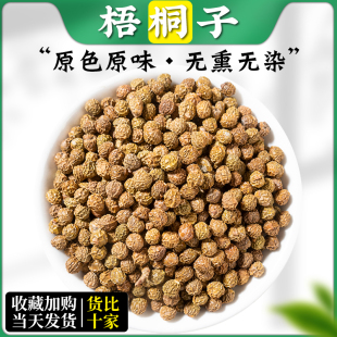 梧桐子500g梧桐树籽中药材正品新鲜干货包邮梧桐籽瓢儿果桐麻豌