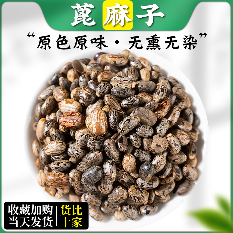 蓖麻子中药材500克 野生蓖麻籽种子油 新鲜 生蓖麻仁 非碾碎打粉