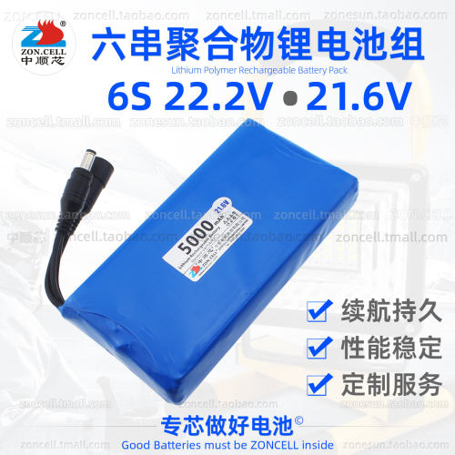 中顺芯6串聚合物锂电池组22.2V
