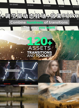 Finalcutpro120+调节层动态转场+效果FCPX插件Assets Toolkit and