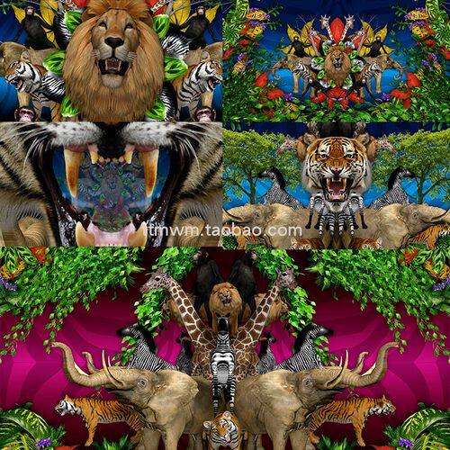 3个丛林动物循环动画视频素材VJloop舞台背景大屏幕Animal Jungle