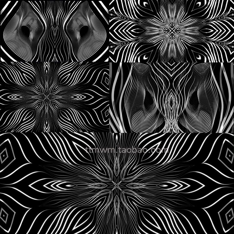 2个黑白艺术大气线条花纹优美绽放舞台背景视频素材循环vj loops