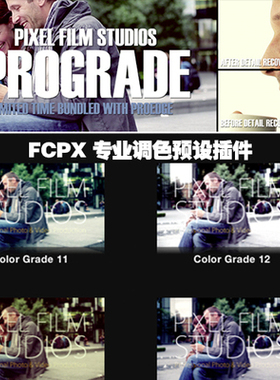 PROGRADE 专业调色预设插件 FCPX 插件 Final cut pro X MOTION