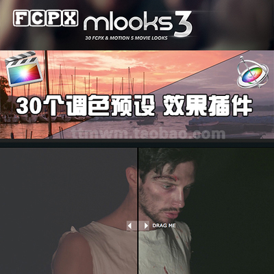 苹果MACFCPX插件 MLOOKS3 30个调色预设插件 final cut pro x