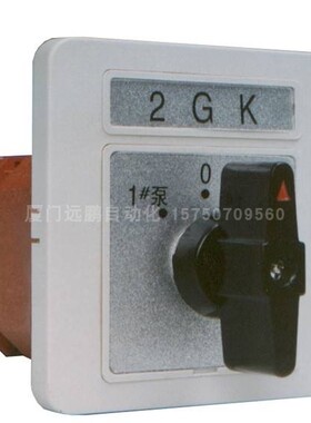 LW21-16-XSF06-2 伊莱克斯ELX转换开关代理销售 原装正品