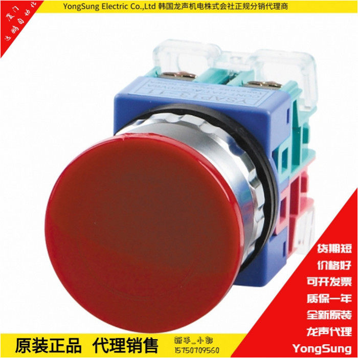 按钮开关YSAEP12-11龙声