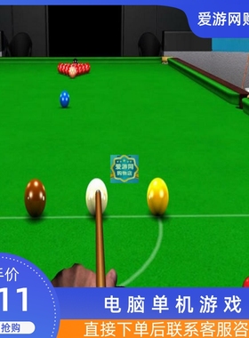 06真实世界斯诺克赛2009完整版PC电脑单机游戏