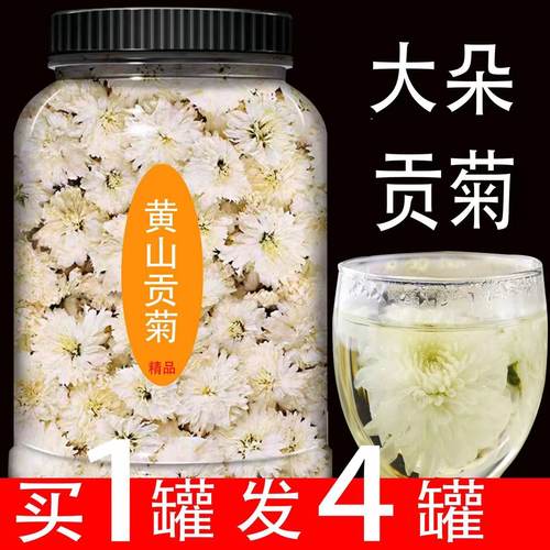 特级黄山贡菊菊花茶宗罐装白菊