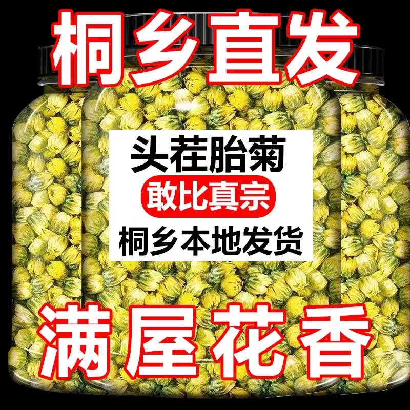 【桐乡供应】桐乡胎菊菊花茶杭白菊贡菊罐装凉茶熬夜花草茶叶枸杞