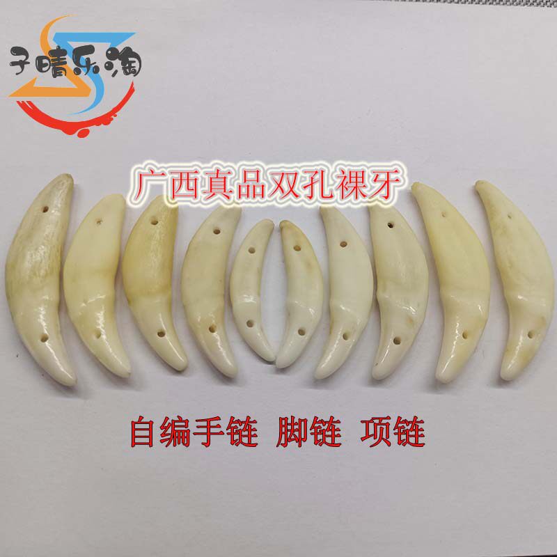 广西黑狗牙双孔裸牙手脚链编织守饰品真品成人男女宝宝婴儿