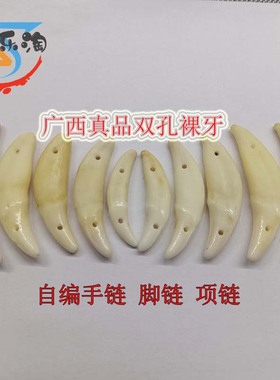 广西黑狗牙真品真牙本质双孔