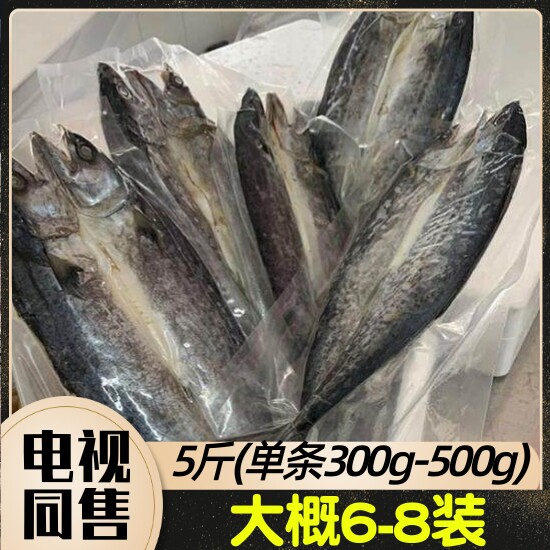 壮元海鲅鱼干5斤(单条300g-500g) 共6-8条装