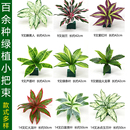 波斯草仿真植物墙配饰绿植背景墙配件壁挂室内阳台装 饰墙面绿植花