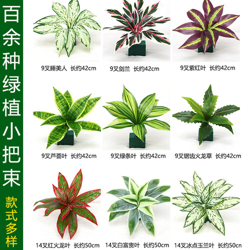 波斯草壁挂绿植植物墙室内外装饰