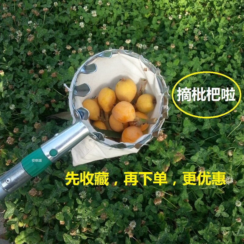 高空采摘器采果器可收伸缩延长杆摘枇杷工具摘李苹果摘柿子山楂枣