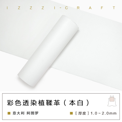 IZZZI艺匠阿图罗彩色透染