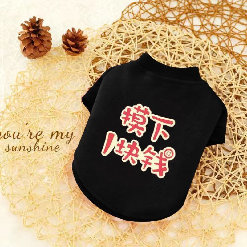 宠物衣服卫衣狗狗背心小型犬春秋冬夏季薄款比熊泰迪用品幼犬猫咪